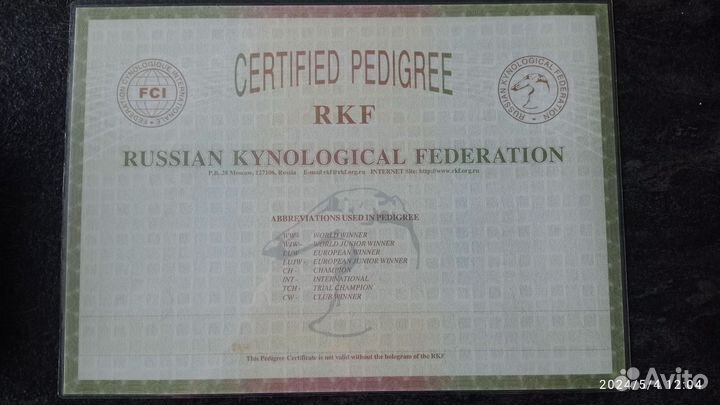 Вязка Баварская горная гончая