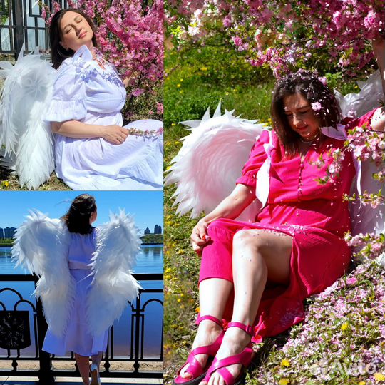 Крылья Ангела аренда/продажа