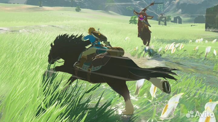 The Legend of Zelda: Breath of the Wild (N Switch)