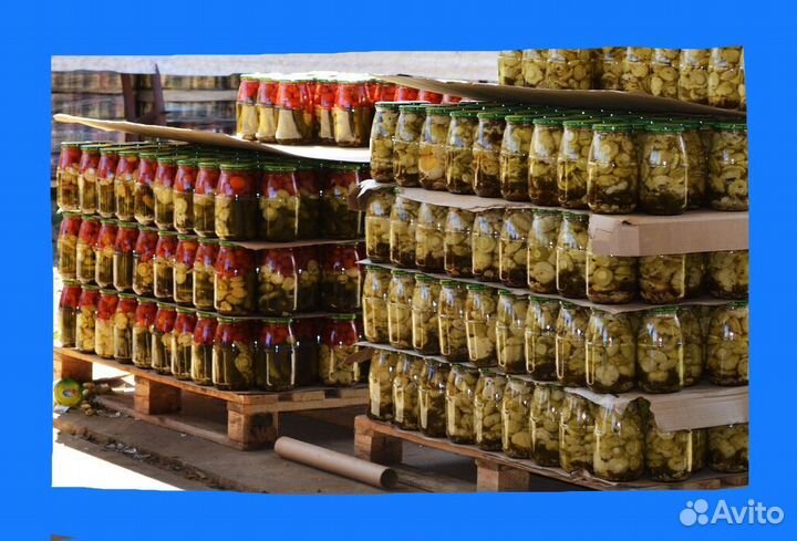 Сортировщик овощей/Славянск/Baxта