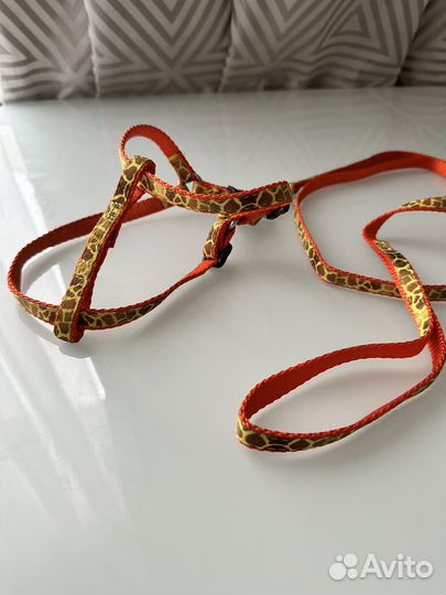 Поводок и шлейка для собаки мелкой породы