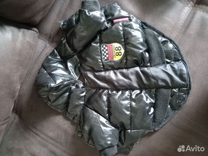 Куртка для собак мелких пород