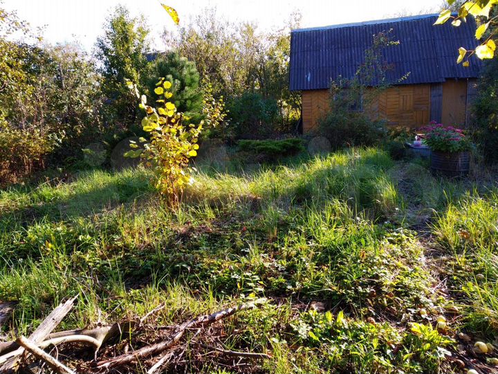 Участок 4 сот. (СНТ, ДНП)