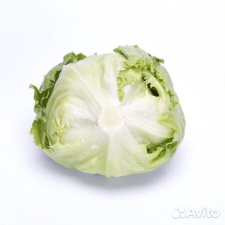 Семена Салата 