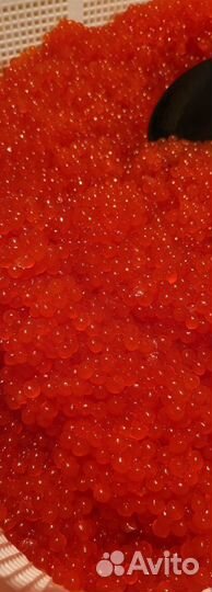 Икра лососевых рыб