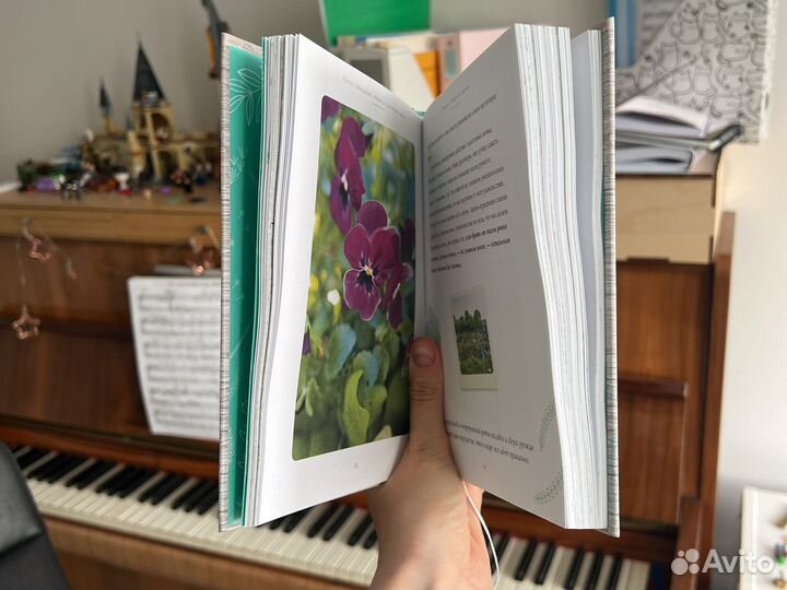 Книга Элизабет Карлссон 