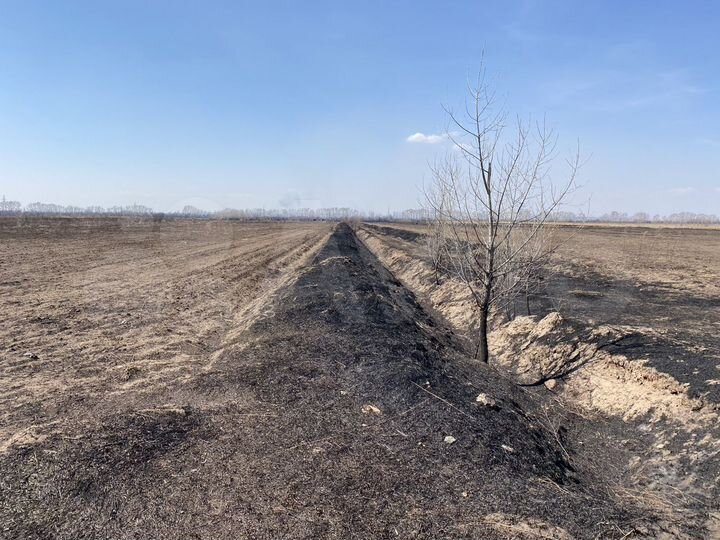 Участок 5,6 га (СНТ, ДНП)