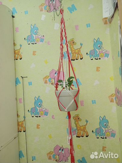 Кашпо макраме на заказ