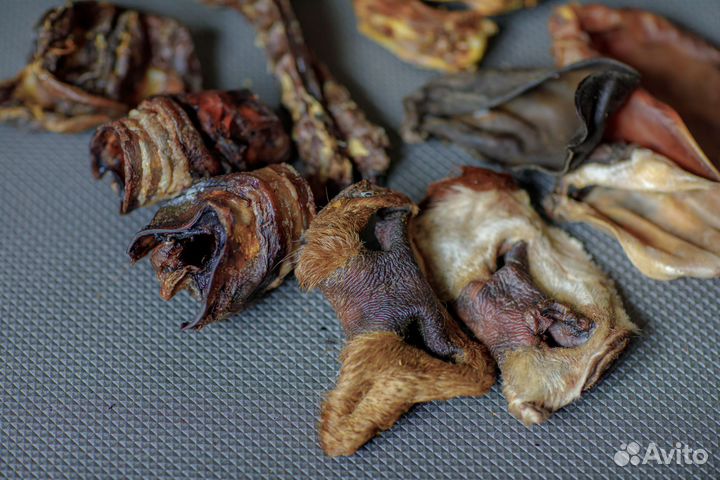 Сухие лакомства для собак и кошек