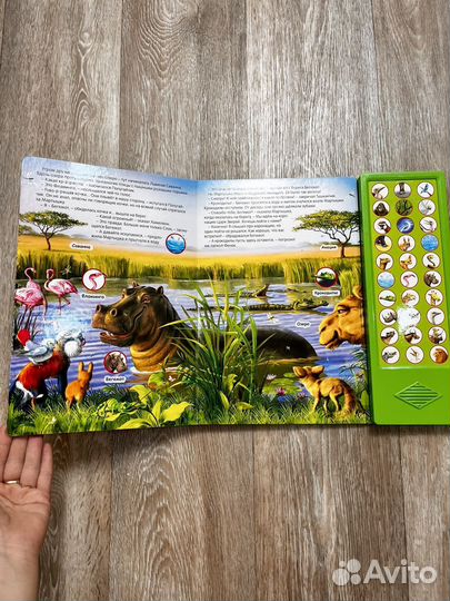 Говорящая книжка