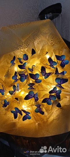 Букет из бабочек