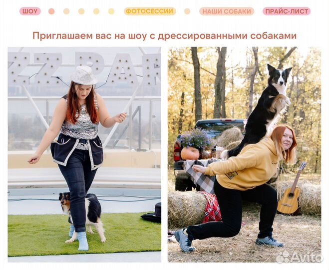 Шоу с дрессированными собаками на праздник