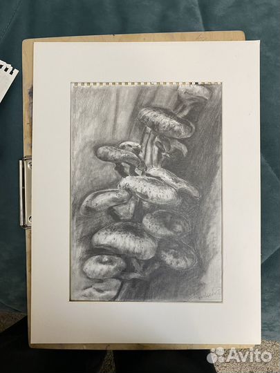 Картина, карандаш, опята на дереве