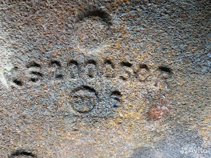 Горный тормоз(заслонка) Man Tga 18.430 D2066