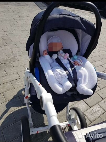 Коляска adamex barletta new 3 в 1