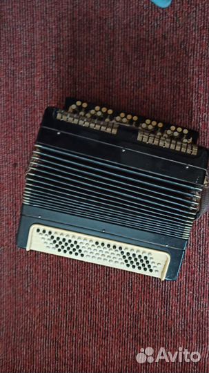 Баян тульский