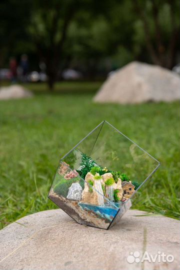 Моссариум в кубе