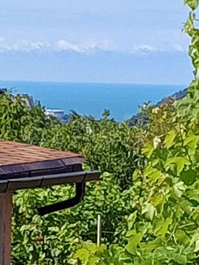 Дом 140 м² на участке 8 сот.