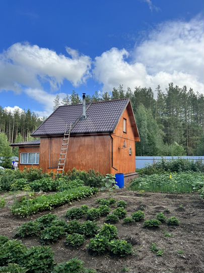 Дом 52,2 м² на участке 15 сот.