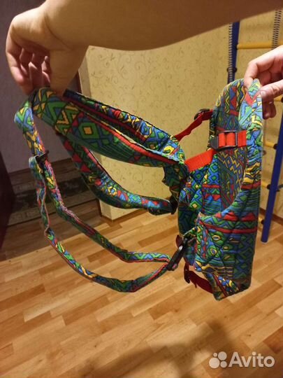 Кенгуру
