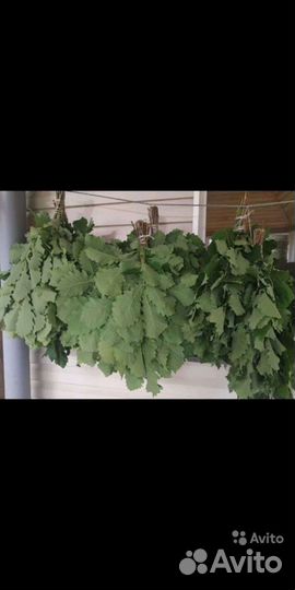 Веники для бани