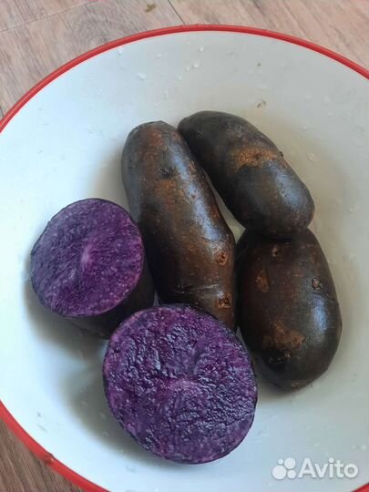 Картофель фиолетовый