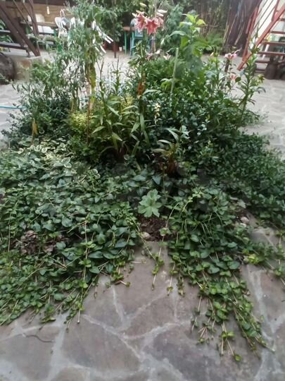 Комната 15 м², 2/2 эт.