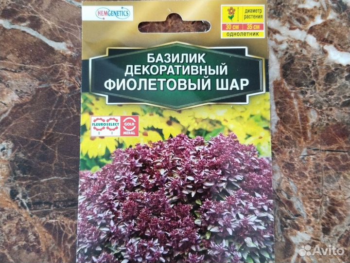 Базилик фиолетовый