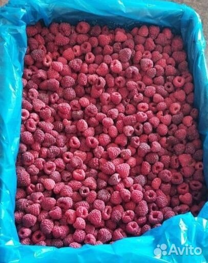 Замороженные ягоды оптом