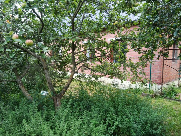 Дом 123,8 м² на участке 15 сот.