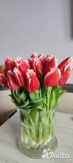 Тюльпаны к 8 марта розница, опт