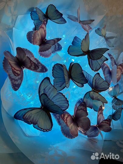 Букет из бабочек