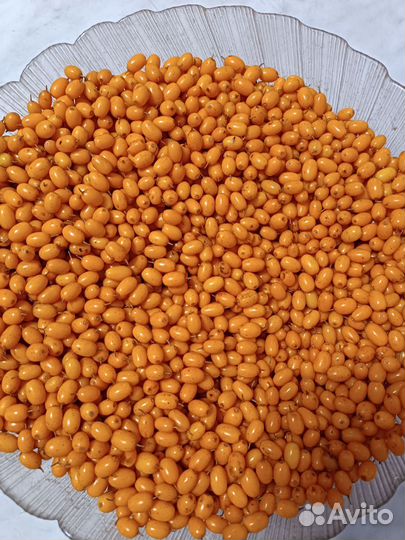 Облепиха и калина ягоды