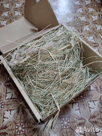 Сено луговое