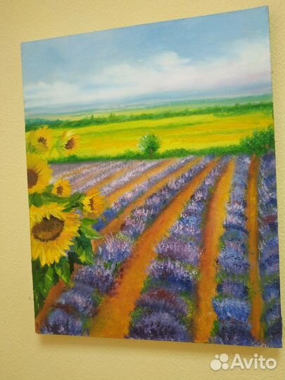 Подсолнухи