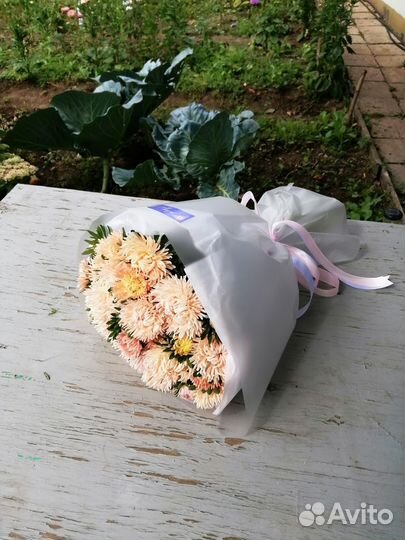 Букет цветы астры