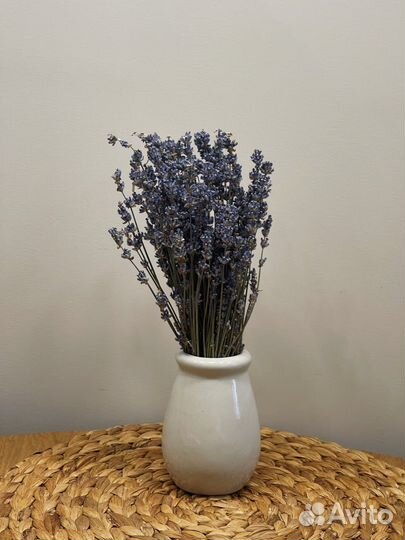 Лаванда в пучках