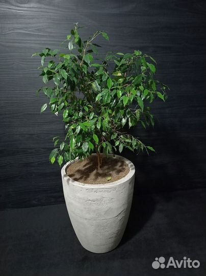 Кашпо, Вазоны, Горшки под заказ из бетона арт 171