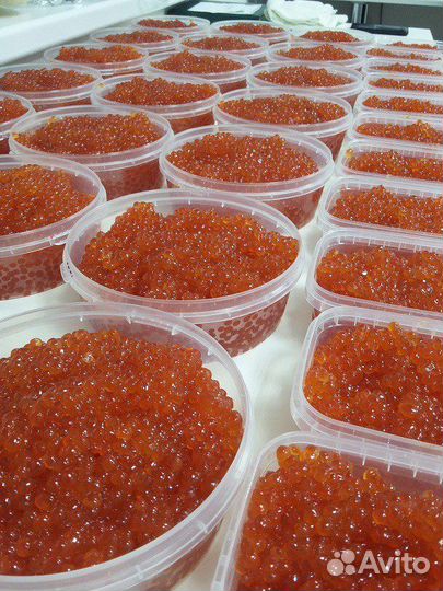 Красная икра