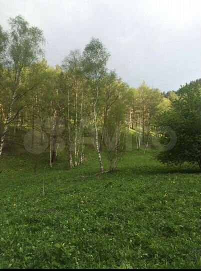 Участок 9,14 га (СНТ, ДНП)