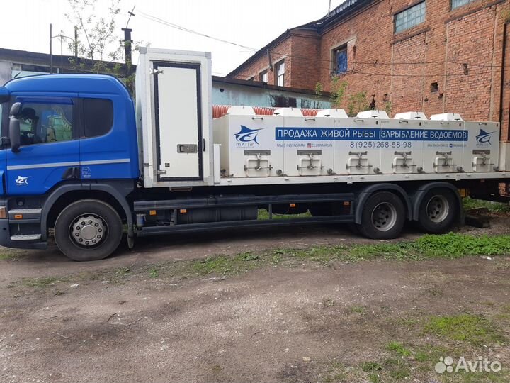 Перевозка живой рыбы