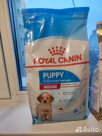 Сухой корм для собак royal canin