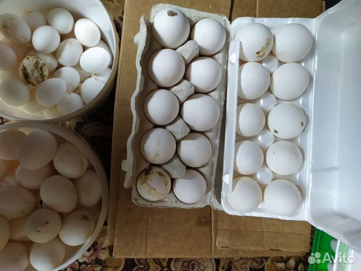 Масло сливочное и мясные домашние продукты