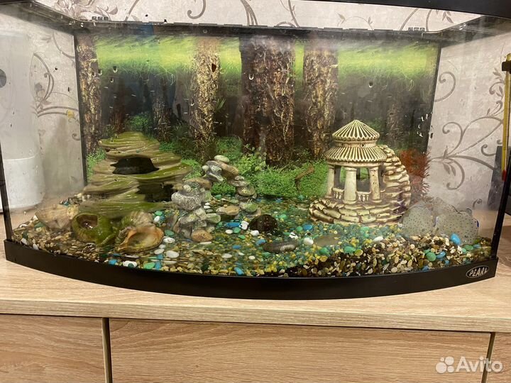Аквариума 60 литров