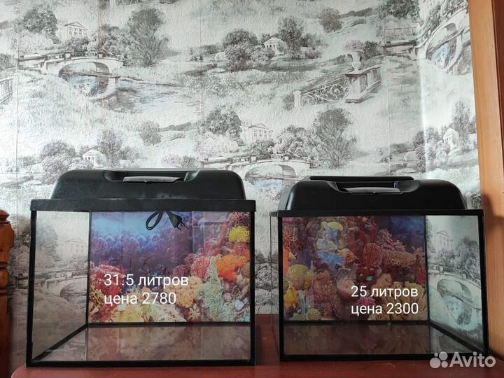 Аквариумы