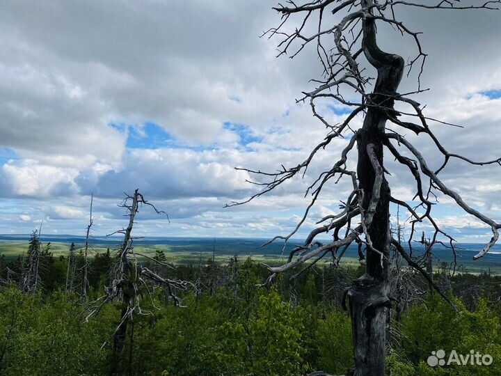 Путешествие к горе Воттоваара