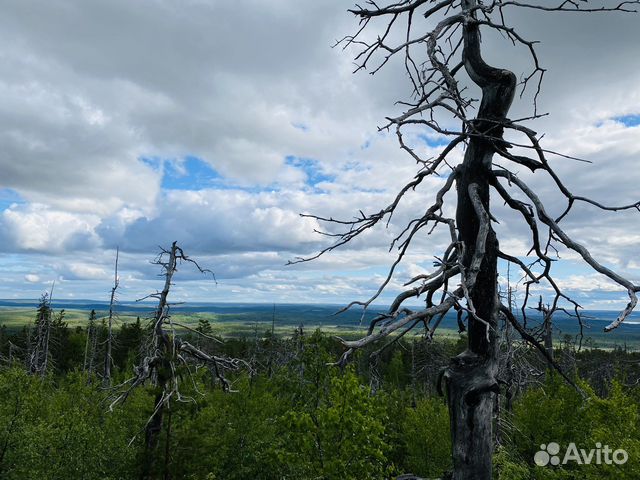 Путешествие к горе Воттоваара