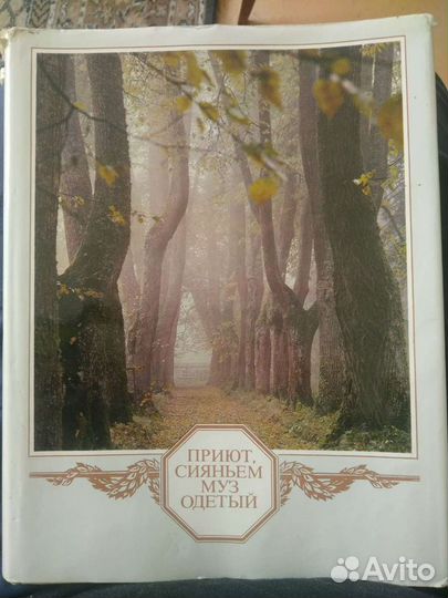 Приют, сияньем муз одетый - книга о А.С.Пушкине