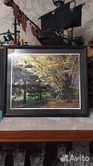 Картина галаграфическая 2 вида