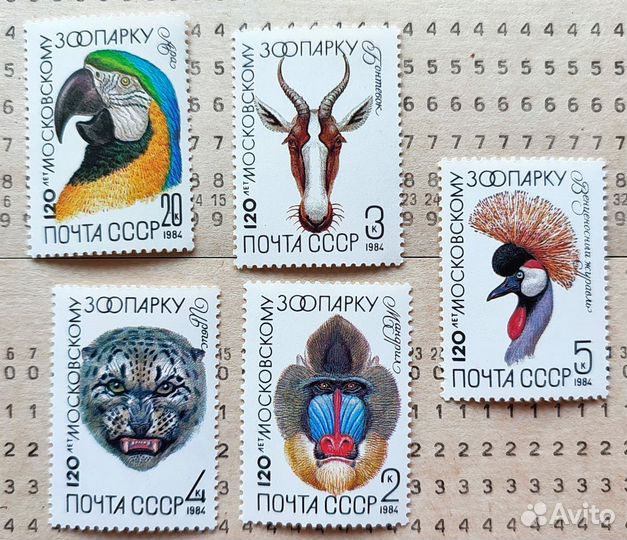 Ботаническиие марки цветы, грибы